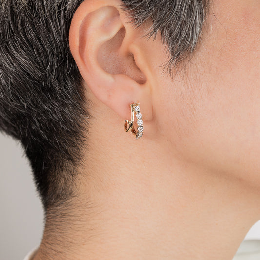 Diamond Cluster Hook Earrings in 10K Yellow and White Gold (0.30 ct tw)