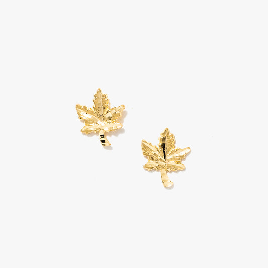 Maple Leaf Diamond Cut Stud Earrings in 10K Yellow Gold